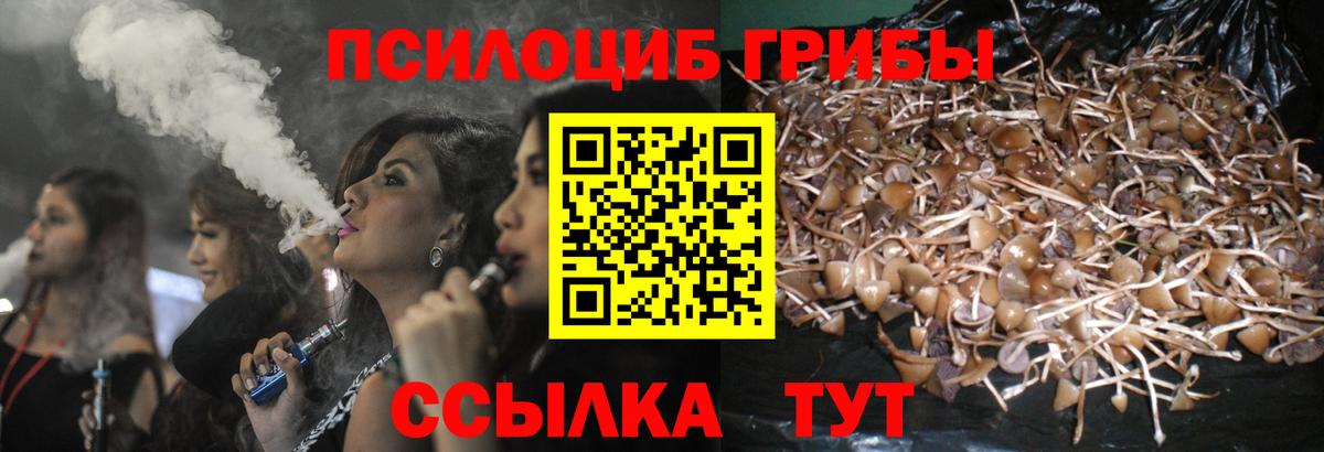 Псилоцибиновые грибы ЛСД  Вход с VPN  Заволжье 